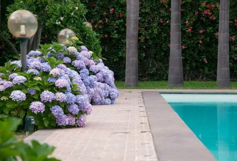 تختخواب و صبحانه Boutique Villa Etna D A Mare