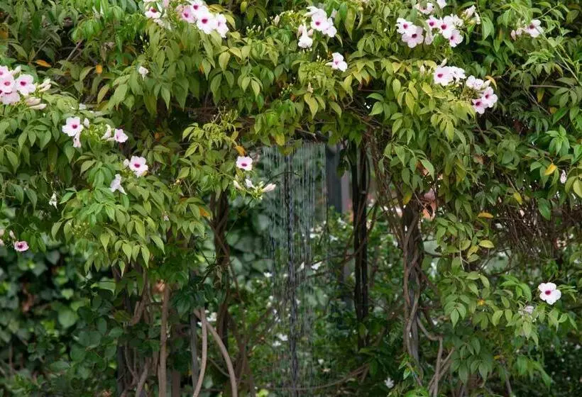 تختخواب و صبحانه Boutique Villa Etna D A Mare