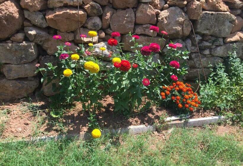 Bed and Breakfast Casa De Newsham