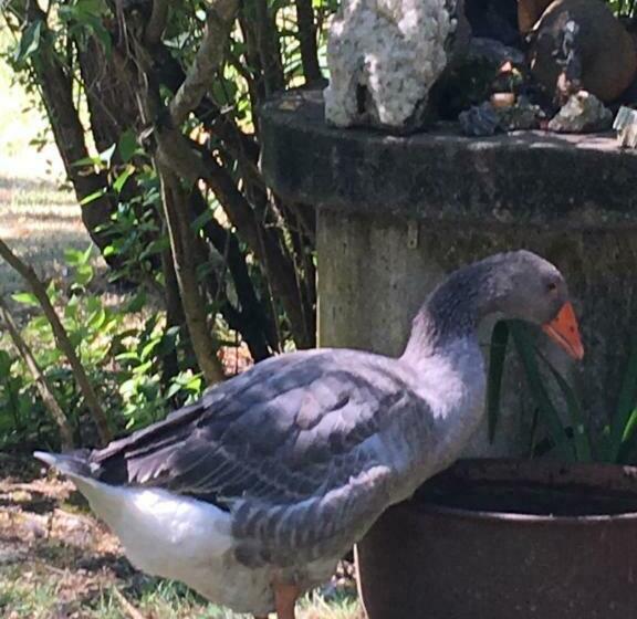 민박 Zen Au Marais Hammam Massages