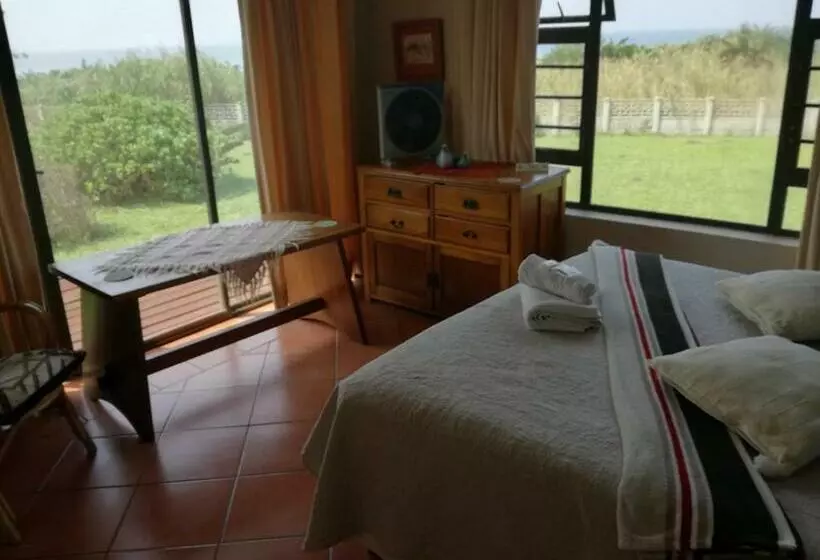 Bottlenose B&b