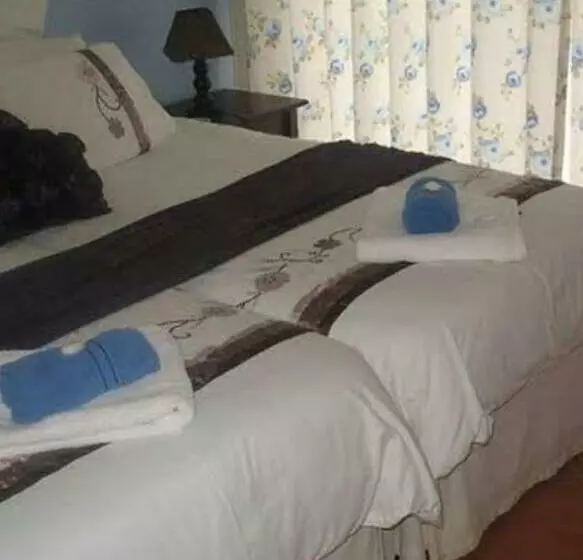 Bottlenose B&b