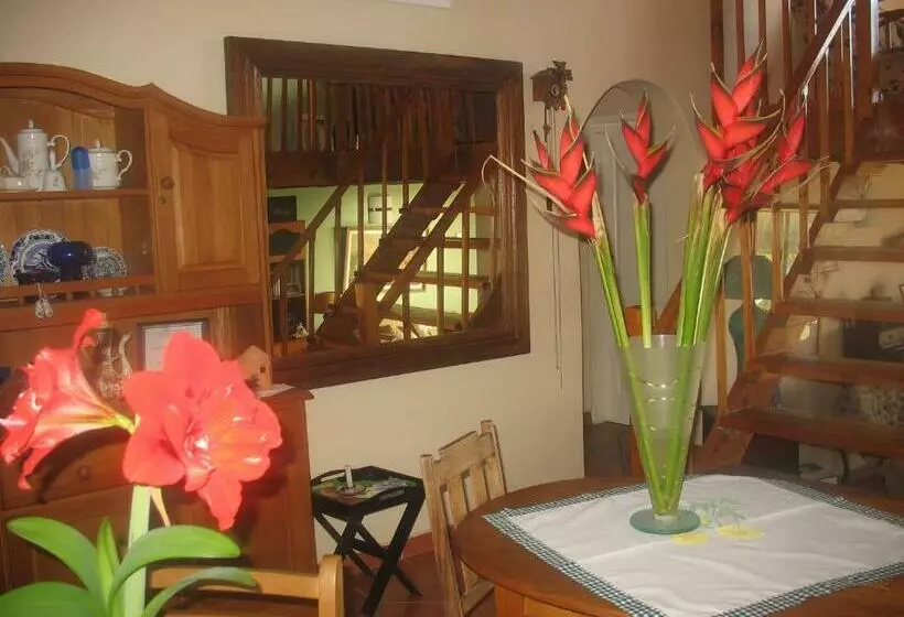 Bottlenose B&b