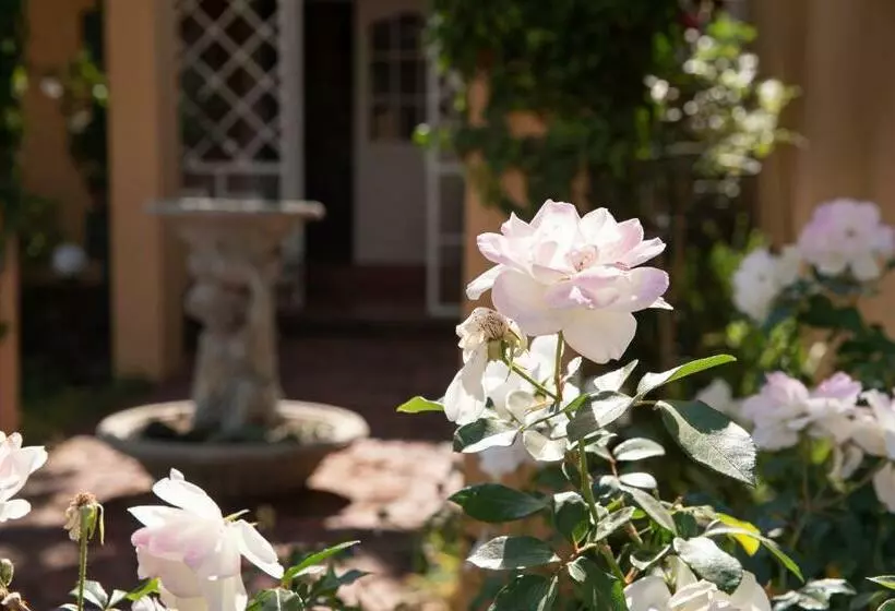 Roses And Pebbles B & B Guest House