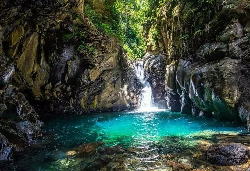 تختخواب و صبحانه Terrasse Du Piton