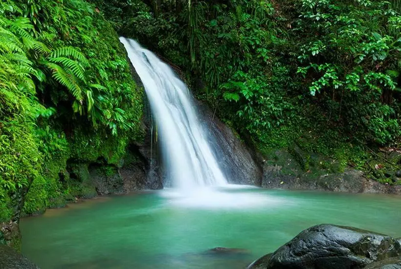 تختخواب و صبحانه Terrasse Du Piton