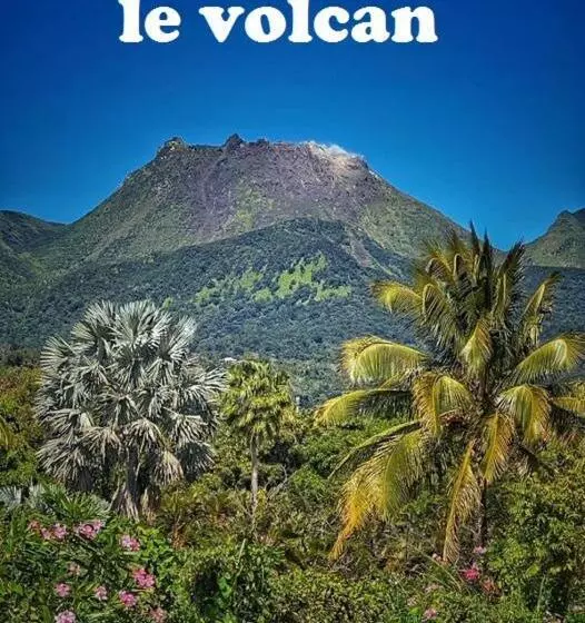 تختخواب و صبحانه Terrasse Du Piton