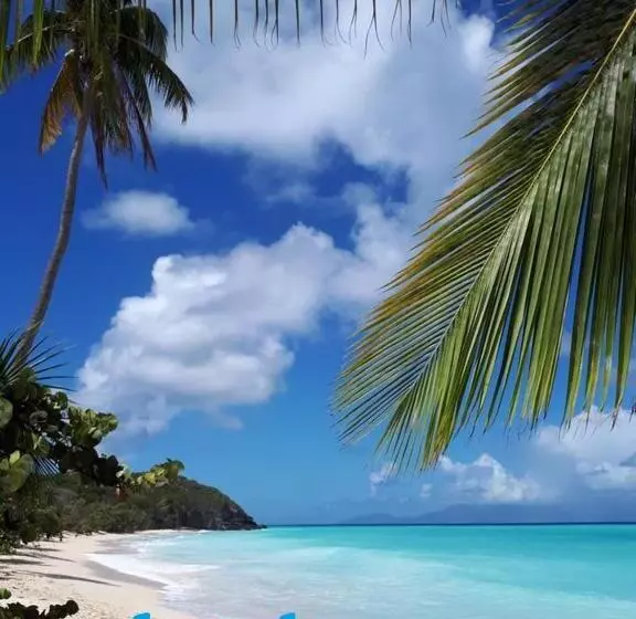 تختخواب و صبحانه Terrasse Du Piton
