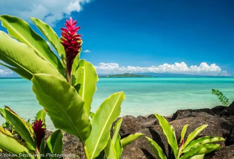 تختخواب و صبحانه Terrasse Du Piton