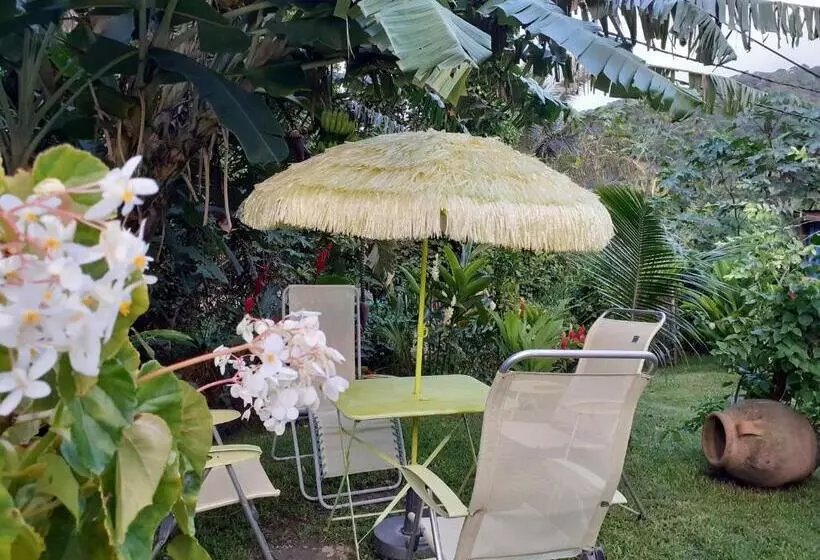 تختخواب و صبحانه Terrasse Du Piton