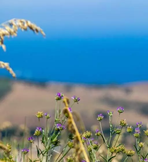 Il Panorama Housing Cilento