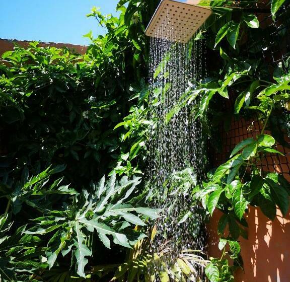 膳宿费 Sheep And Stars