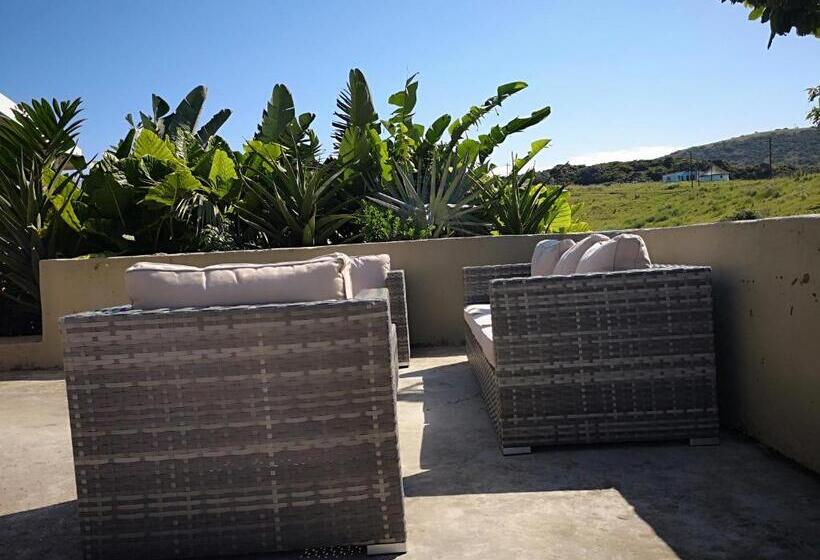 膳宿费 Sheep And Stars