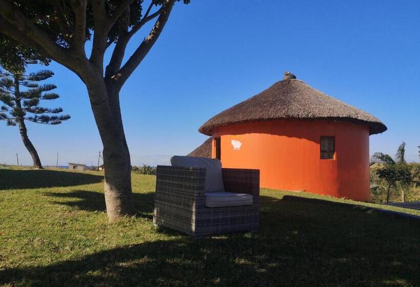 膳宿费 Sheep And Stars