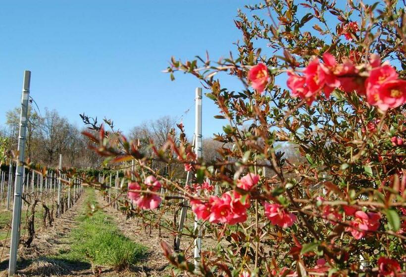 فندق Laghi D Insubria