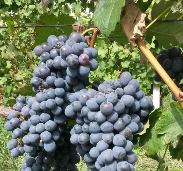 فندق Laghi D Insubria