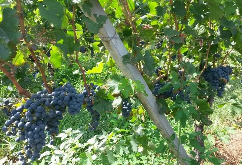 فندق Laghi D Insubria