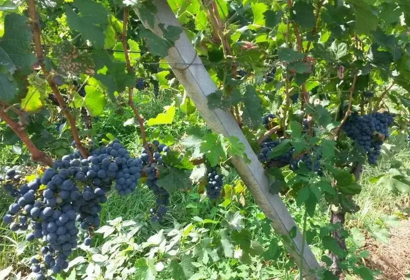 ホテル Laghi D Insubria