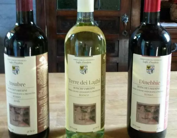 ホテル Laghi D Insubria