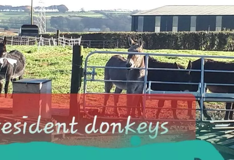 Aamiaismajoitus (B&B) Antrim Heights Bnb