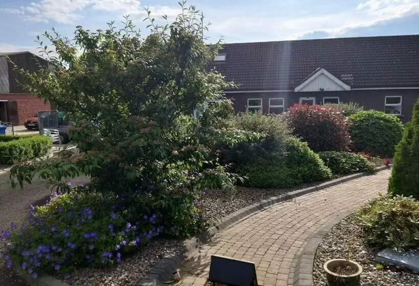 Aamiaismajoitus (B&B) Antrim Heights Bnb