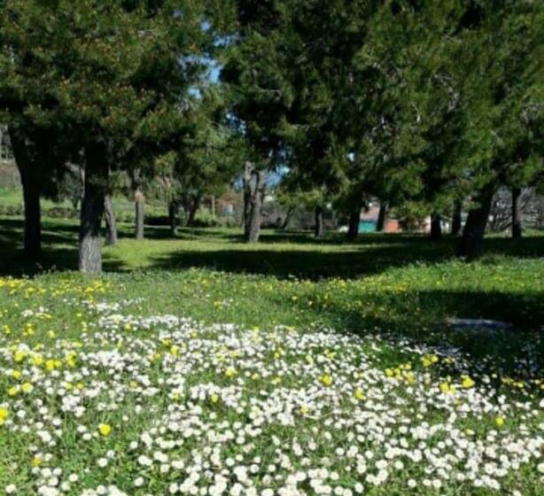 ベッドアンドブレックファースト La Collina Sul Mare