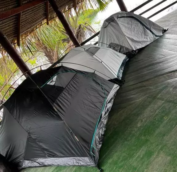 ペンション Amazônia Exxperience