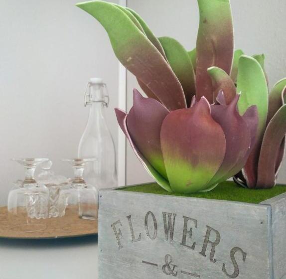 بنسيون Casa Vaz