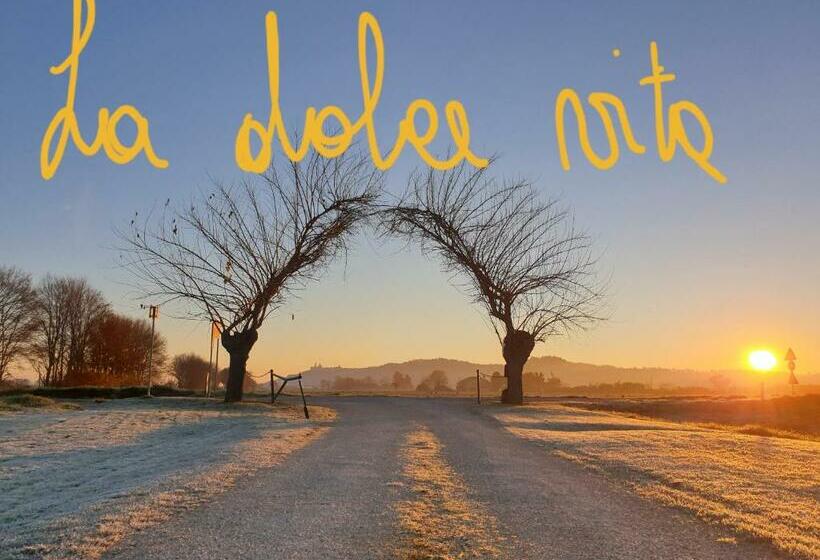 膳宿费 La Dolce Vita