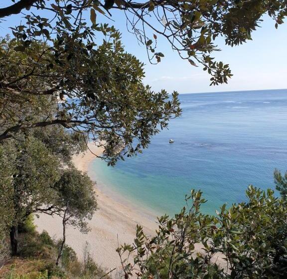 膳宿费 La Dolce Vita