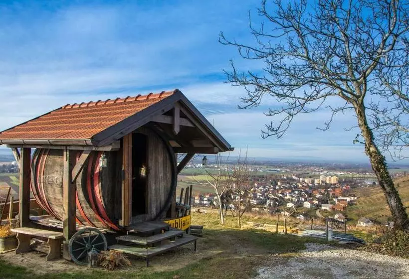 پانسیون Vinska Klet Smej