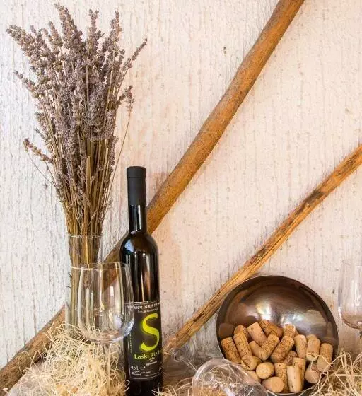 پانسیون Vinska Klet Smej