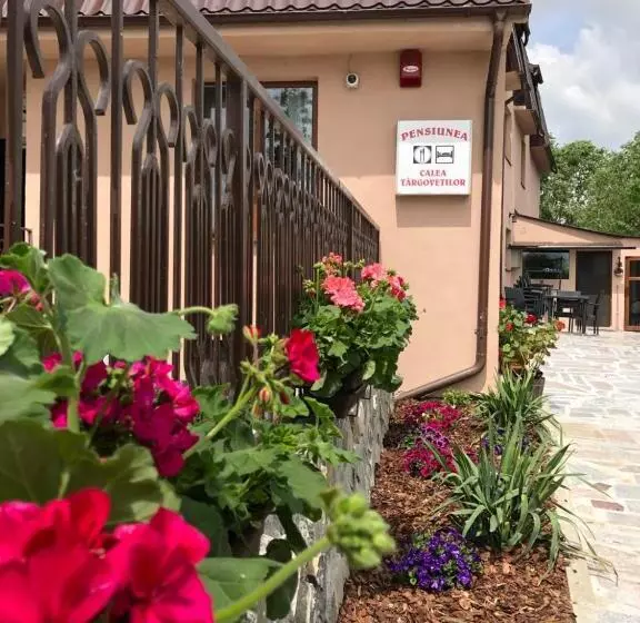 Pensiunea Calea Targovetilor