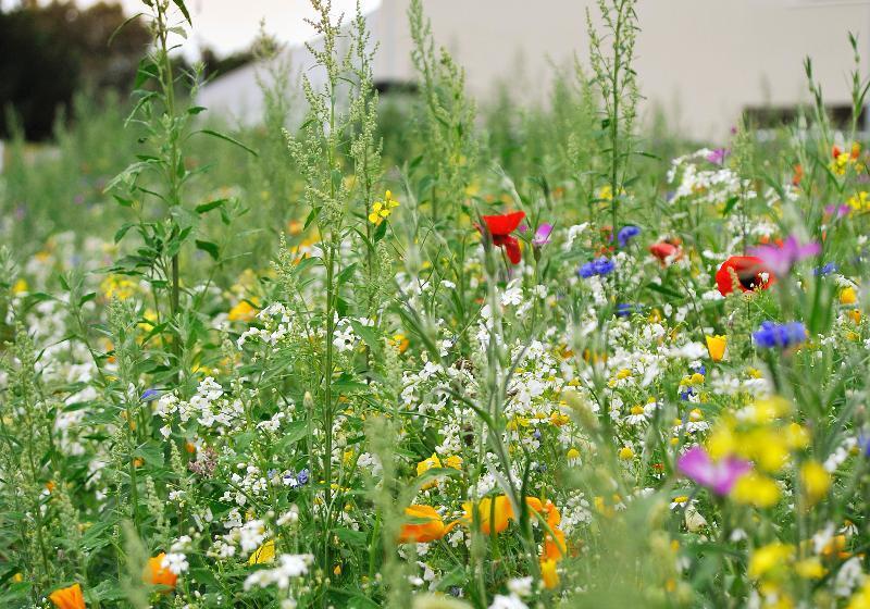 فندق Eco Nuit La Baule Guerande
