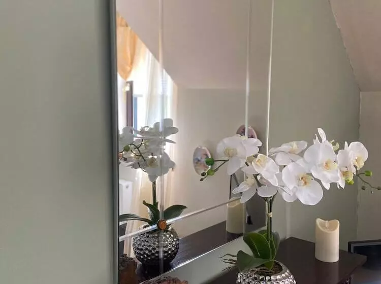 Shenavallie Bed & Breakfast And Self Catering