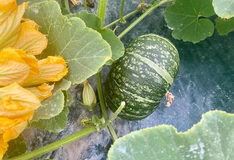 هتل Incanto Del Garda