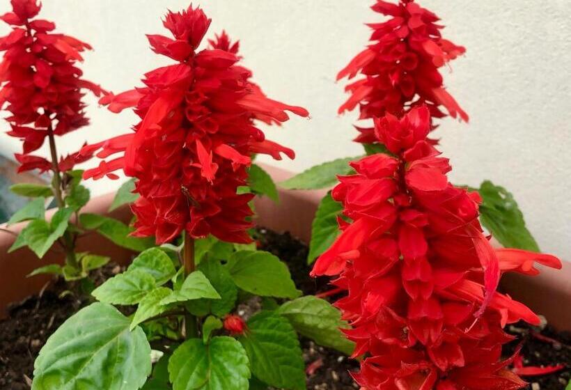 هتل Incanto Del Garda