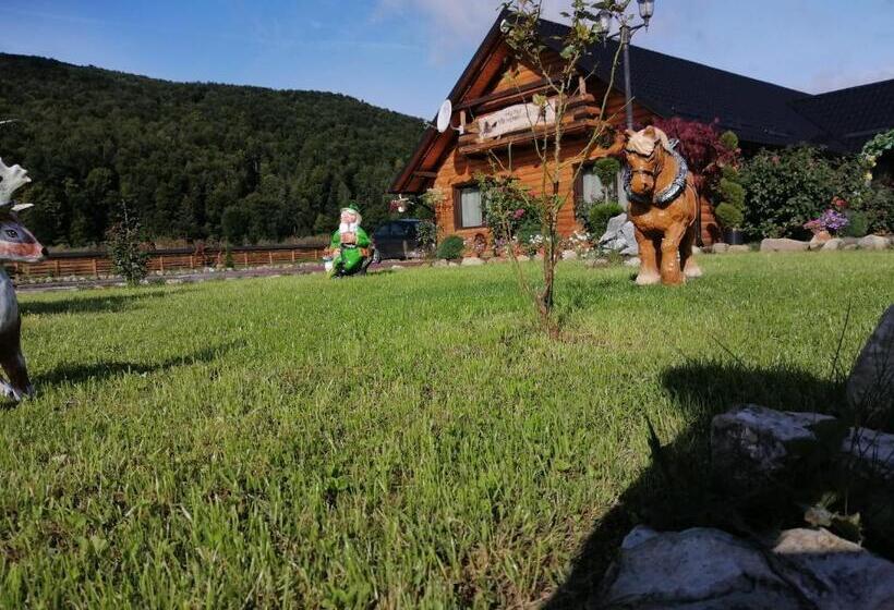 펜션 Hanul Vanatorului