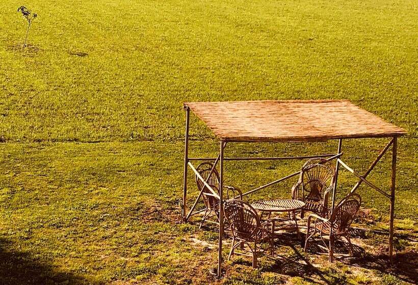 Room In B&b   B&b Carlonga A Double Room For Two People