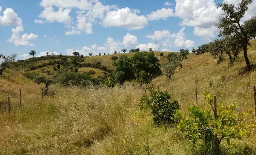 ベッドアンドブレックファースト Monte Anna