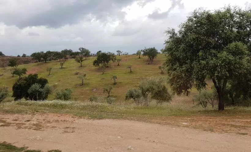 ベッドアンドブレックファースト Monte Anna