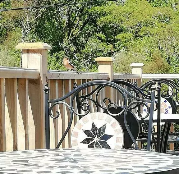 Bed & Breakfast The Black Sheep