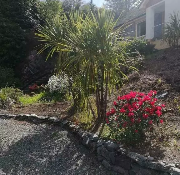 Bed & Breakfast The Black Sheep