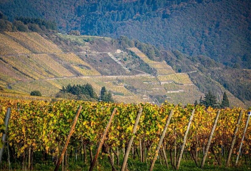 膳宿费 Gästehaus Bausch