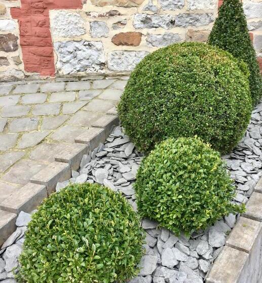 פנסיון Urban Nest