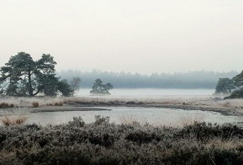 Bed & Breakfast De Heughte