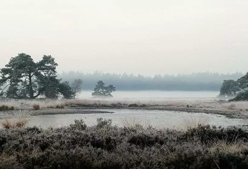 Bed & Breakfast De Heughte