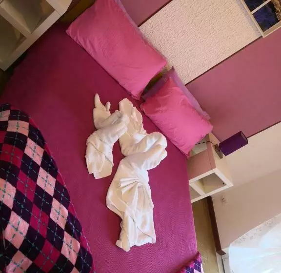 B&b Manito