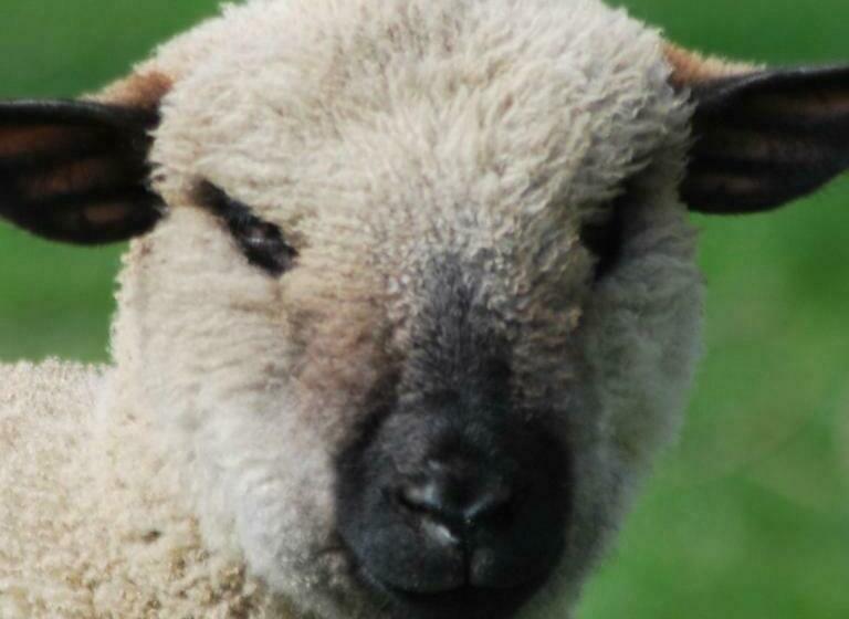 住宿加早餐 De Zonnebrug Dijkhoeve