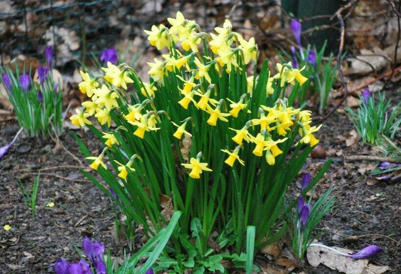 住宿加早餐 De Zonnebrug Dijkhoeve